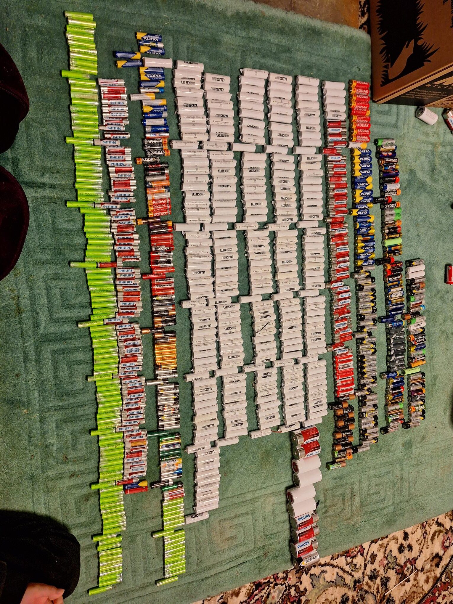 Eco Warrior Jamie Duracell Big Battery Hunt