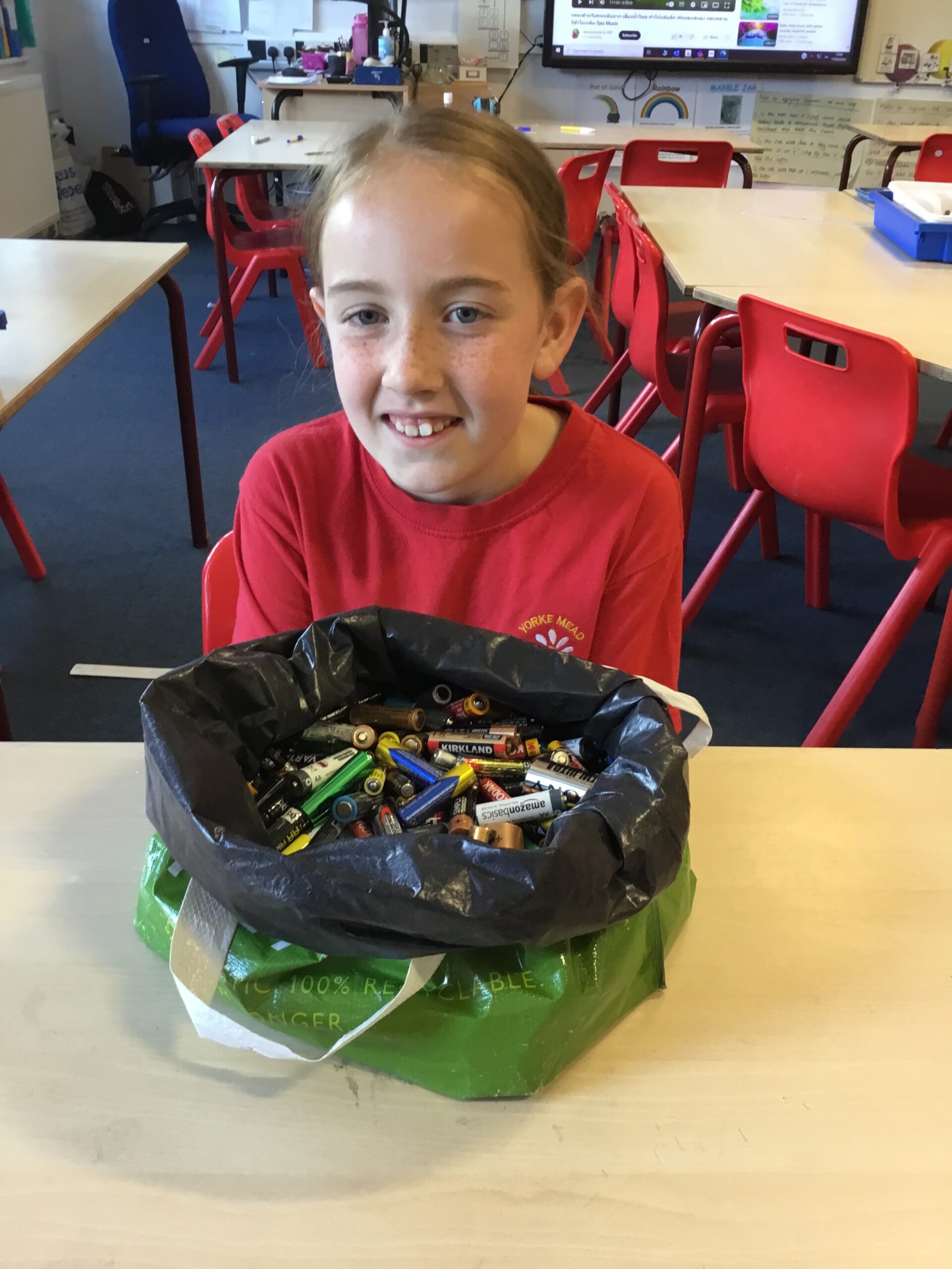 Yorke Mead Battery Pioneer Duracell Big Battery Hunt